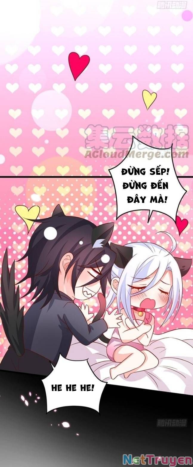 Hắc Đạo Đáng Yêu Chapter 130 - 7