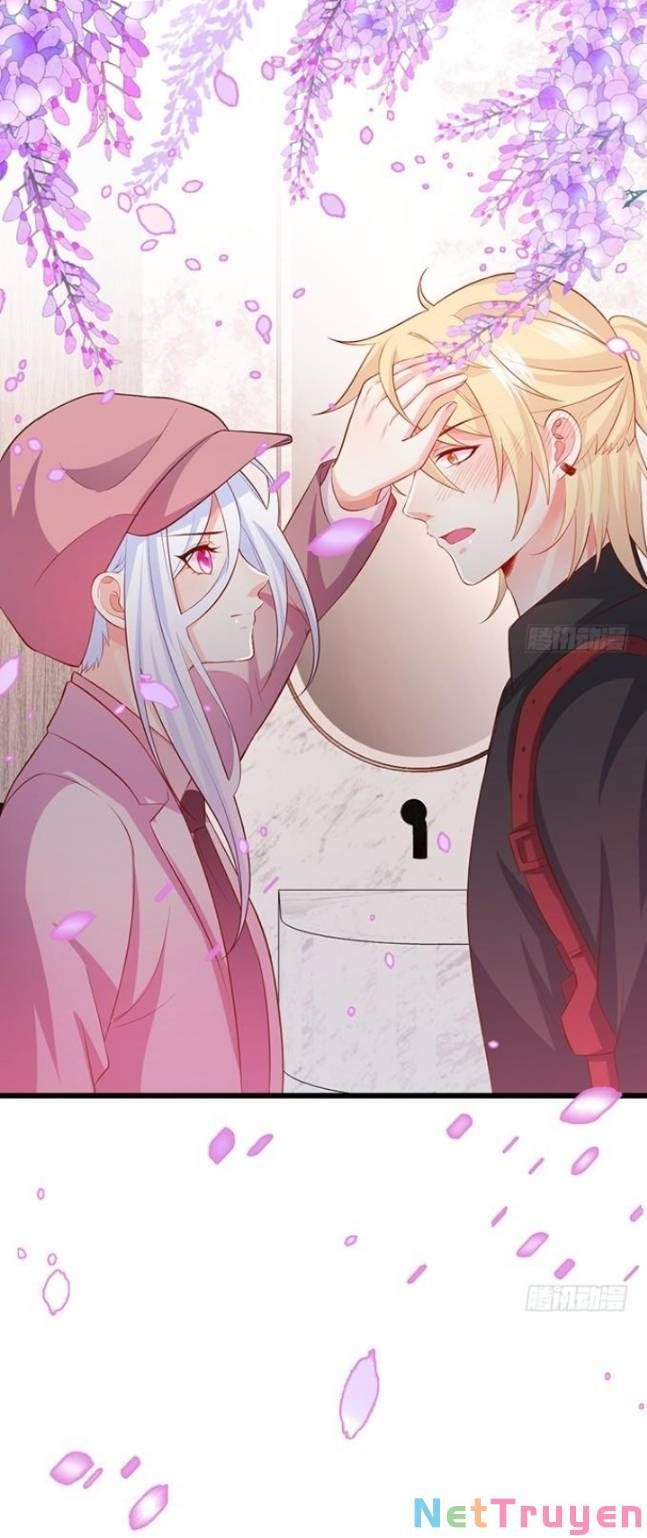 Hắc Đạo Đáng Yêu Chapter 133 - 24