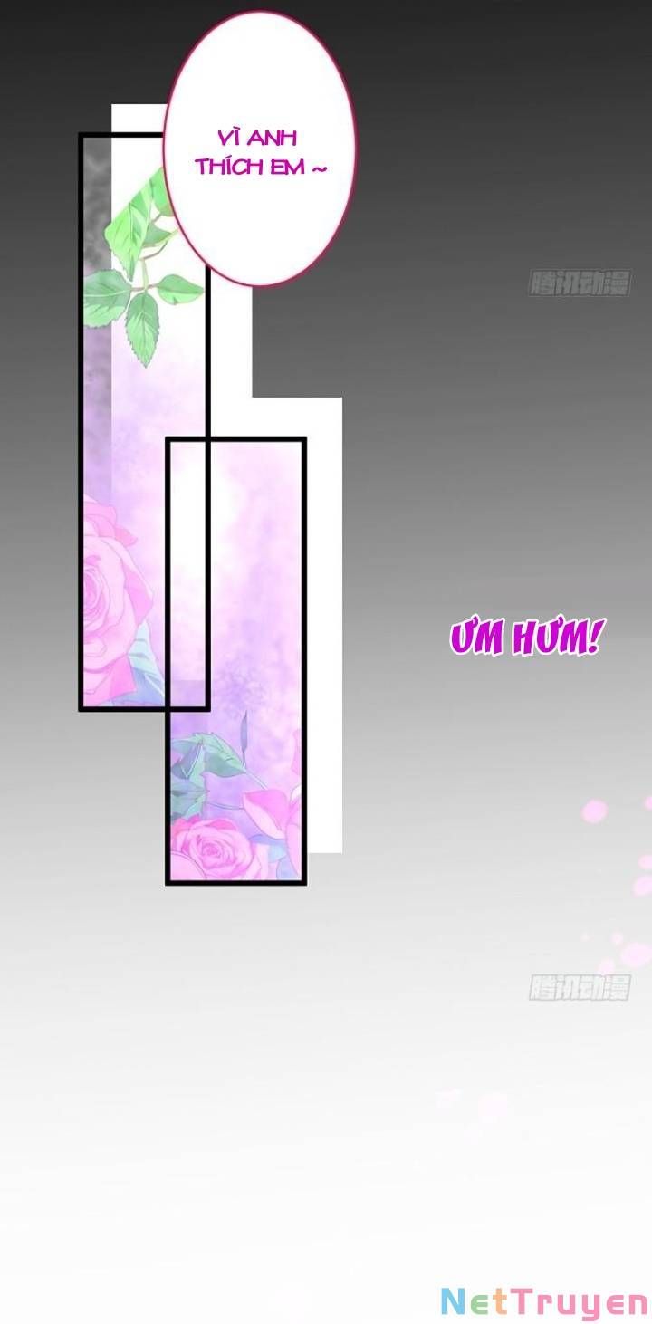 Hắc Đạo Đáng Yêu Chapter 133 - 10