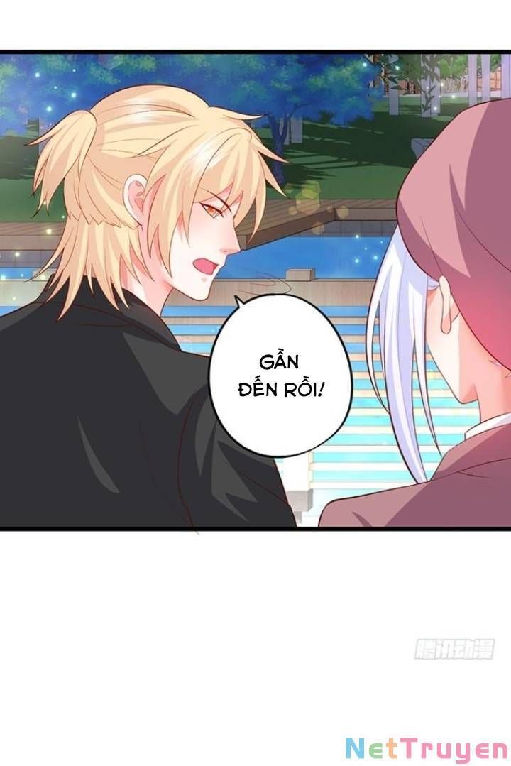 Hắc Đạo Đáng Yêu Chapter 134 - 12