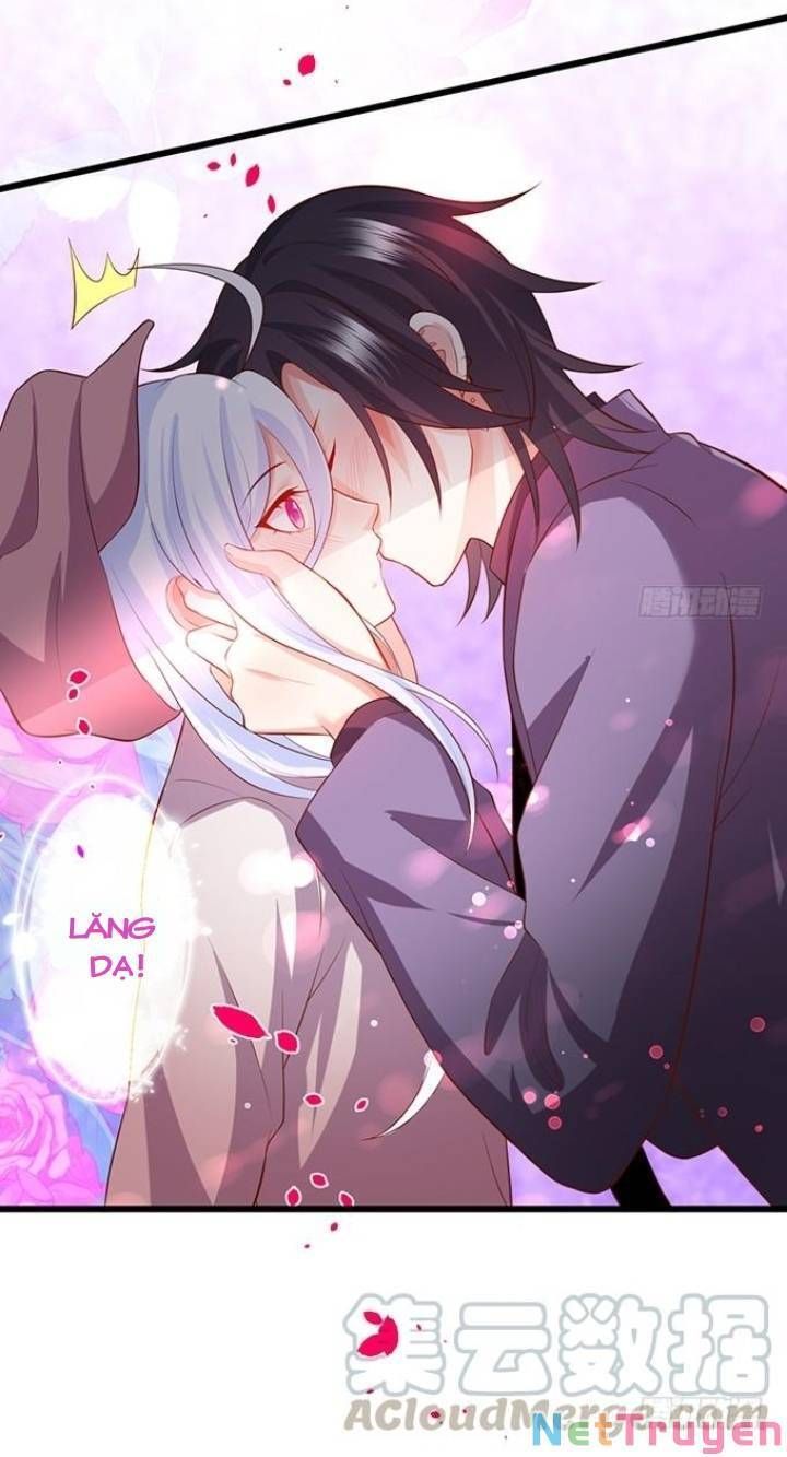 Hắc Đạo Đáng Yêu Chapter 134 - 31