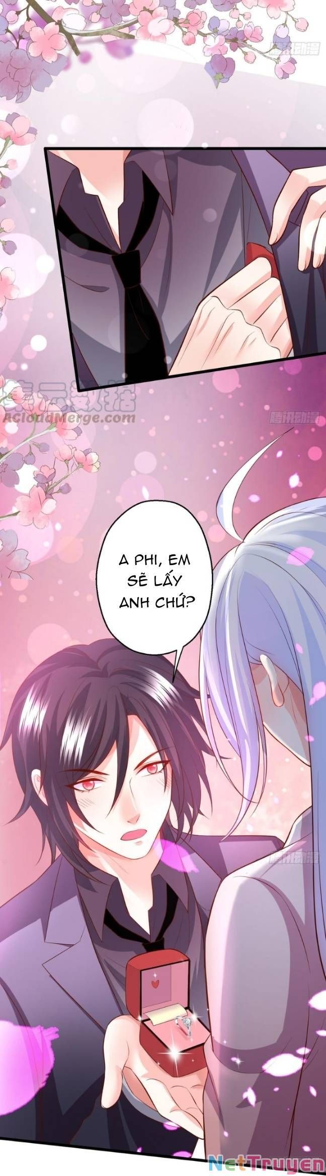 Hắc Đạo Đáng Yêu Chapter 135 - 13