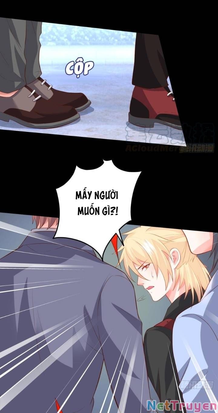 Hắc Đạo Đáng Yêu Chapter 135 - 20