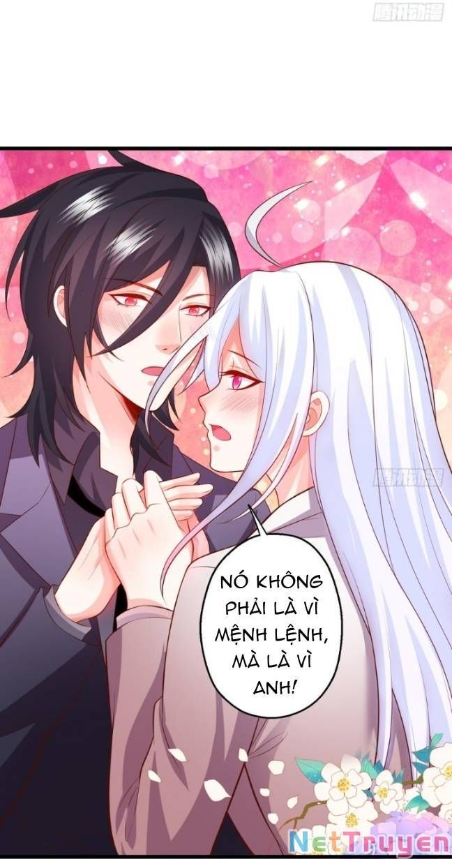 Hắc Đạo Đáng Yêu Chapter 135 - 10