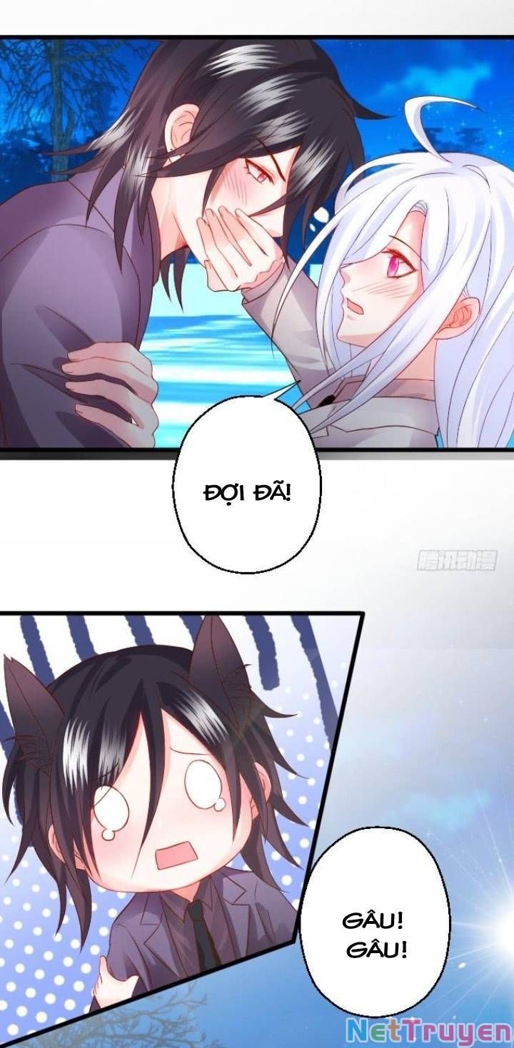 Hắc Đạo Đáng Yêu Chapter 136 - 14