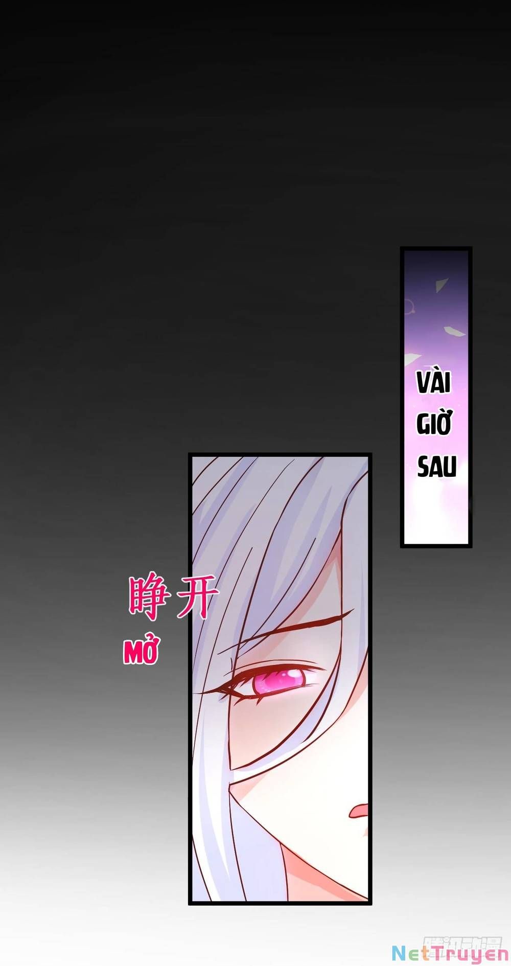 Hắc Đạo Đáng Yêu Chapter 139 - 16