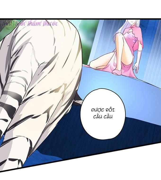 Hắc Đạo Đáng Yêu Chapter 14 - 14