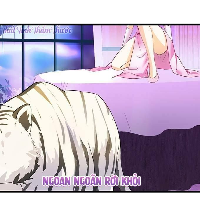 Hắc Đạo Đáng Yêu Chapter 14 - 16
