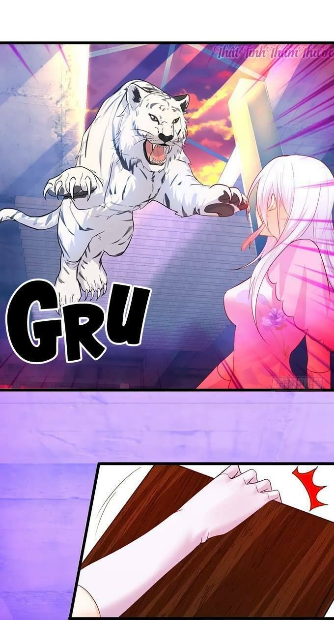 Hắc Đạo Đáng Yêu Chapter 14 - 4