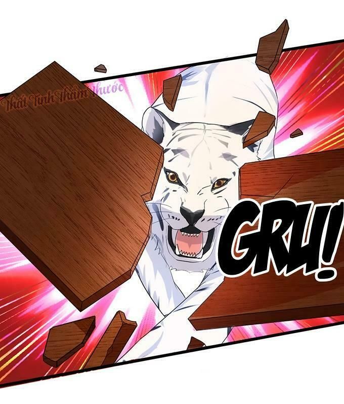 Hắc Đạo Đáng Yêu Chapter 14 - 6