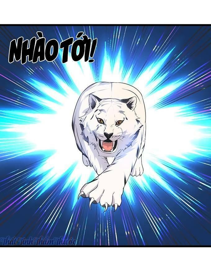 Hắc Đạo Đáng Yêu Chapter 14 - 10