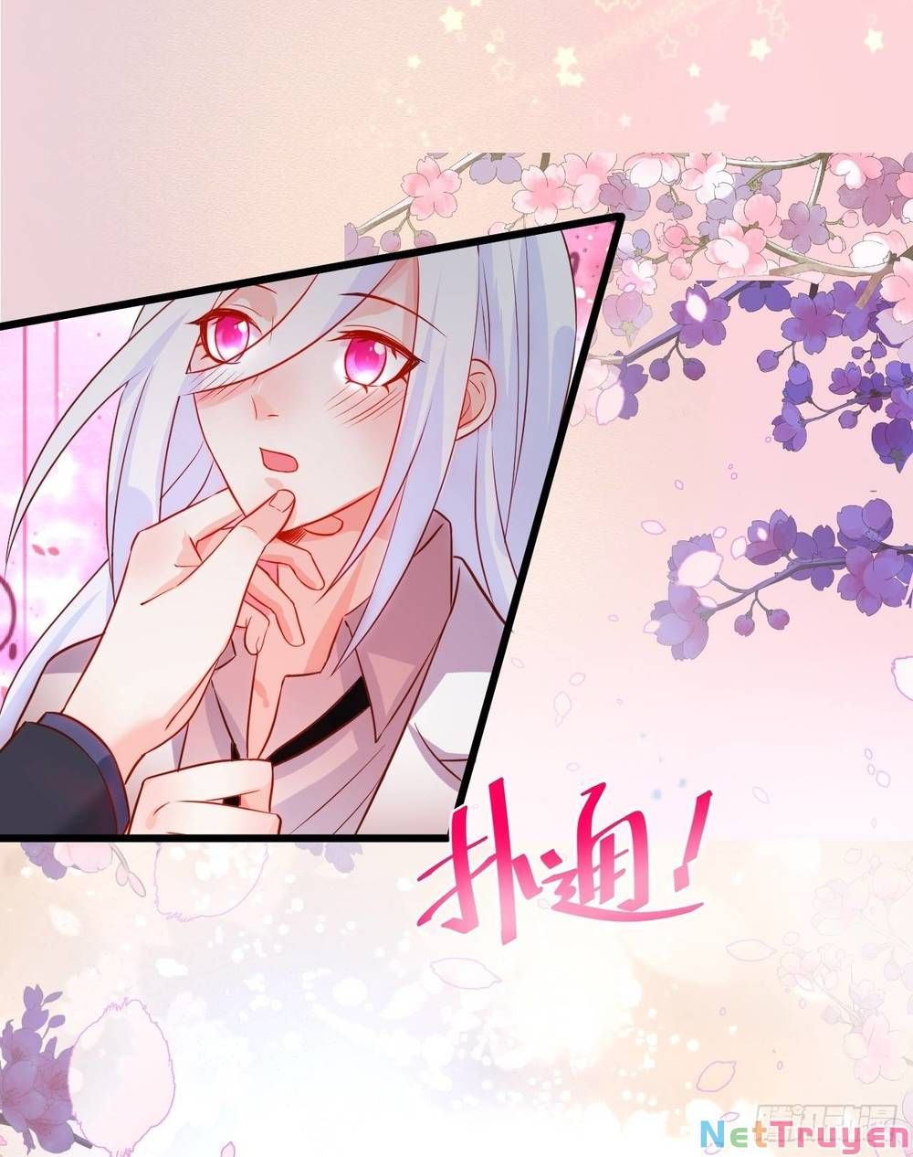 Hắc Đạo Đáng Yêu Chapter 143 - 37