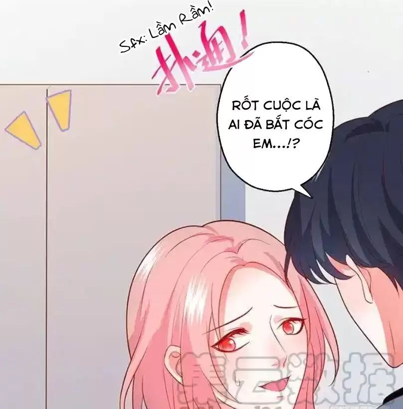 Hắc Đạo Đáng Yêu Chapter 150 - 15