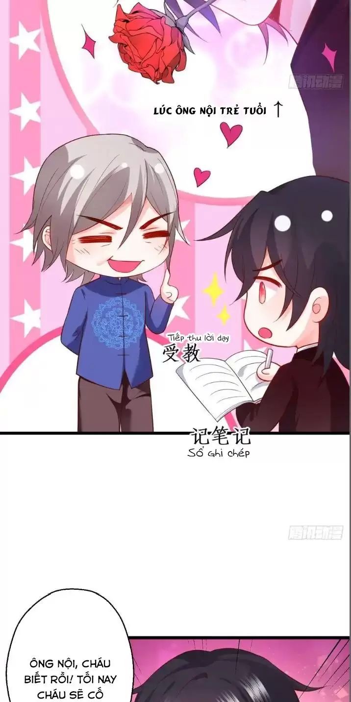 Hắc Đạo Đáng Yêu Chapter 153 - 44