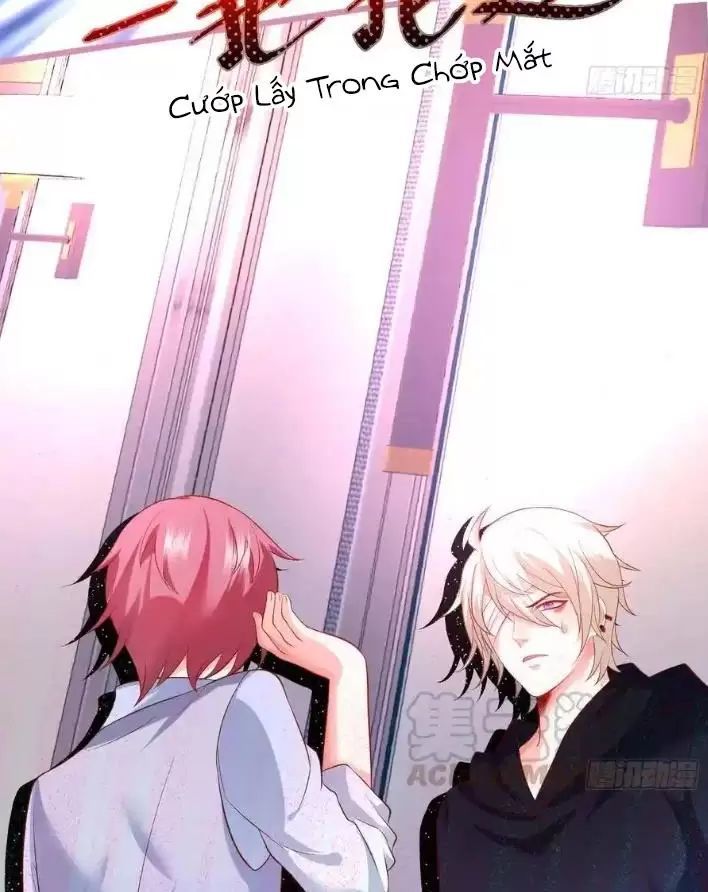 Hắc Đạo Đáng Yêu Chapter 155 - 26