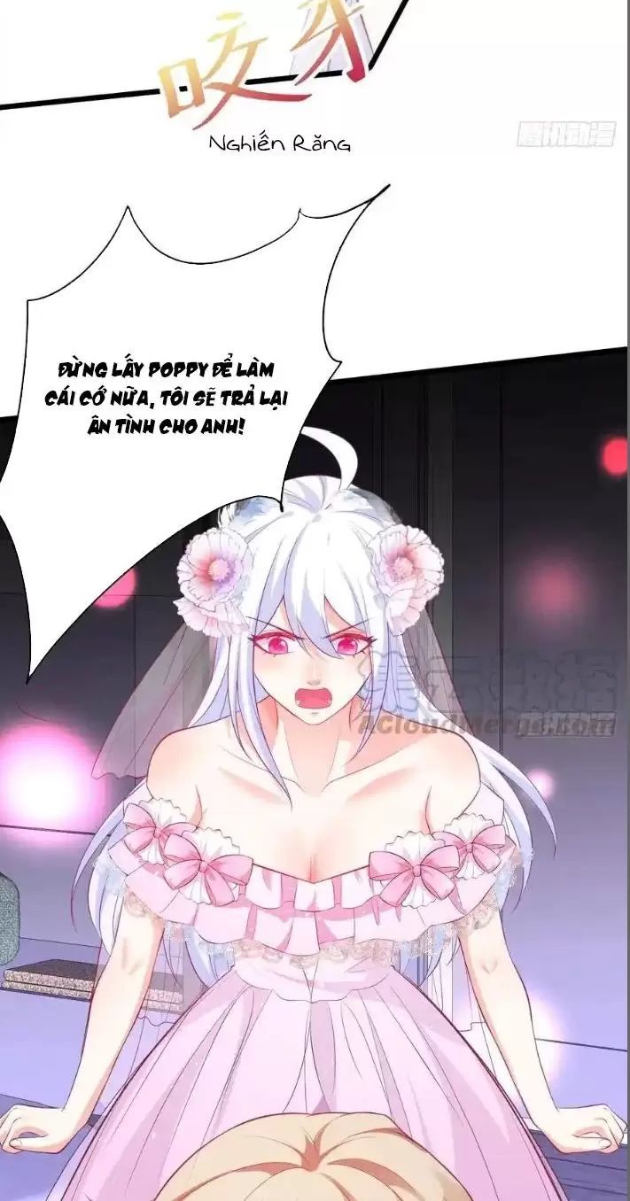 Hắc Đạo Đáng Yêu Chapter 156 - 28