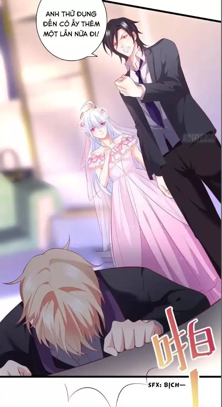 Hắc Đạo Đáng Yêu Chapter 156 - 33