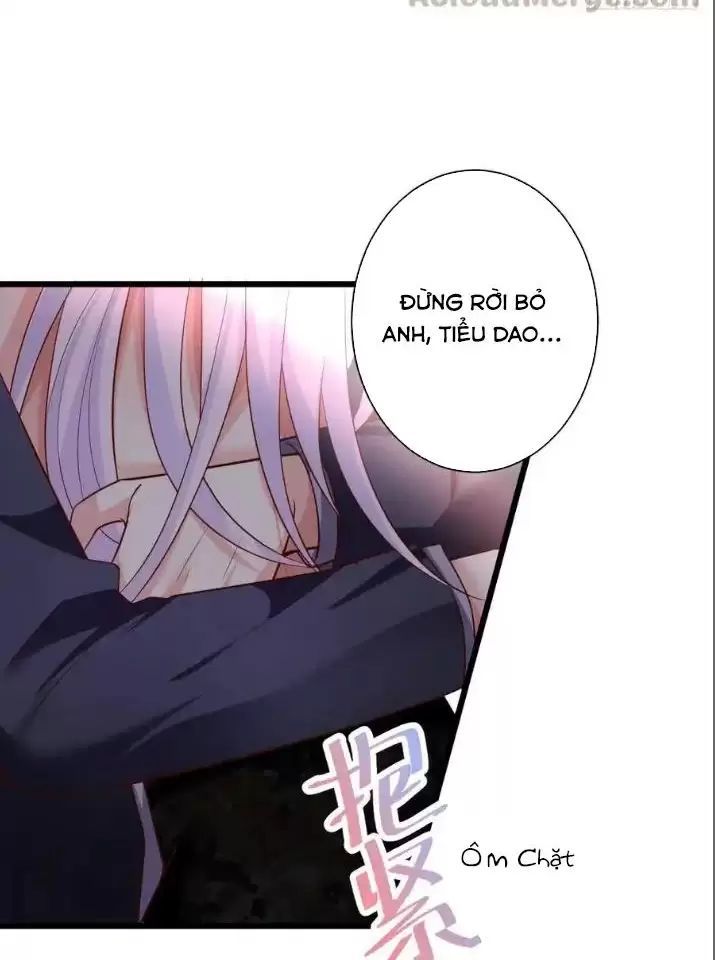 Hắc Đạo Đáng Yêu Chapter 157 - 22