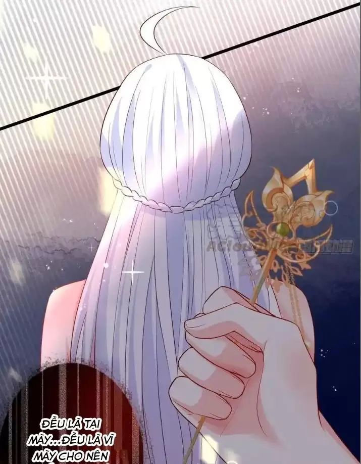 Hắc Đạo Đáng Yêu Chapter 157 - 33