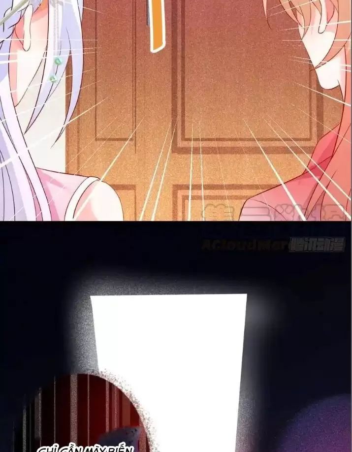 Hắc Đạo Đáng Yêu Chapter 157 - 42