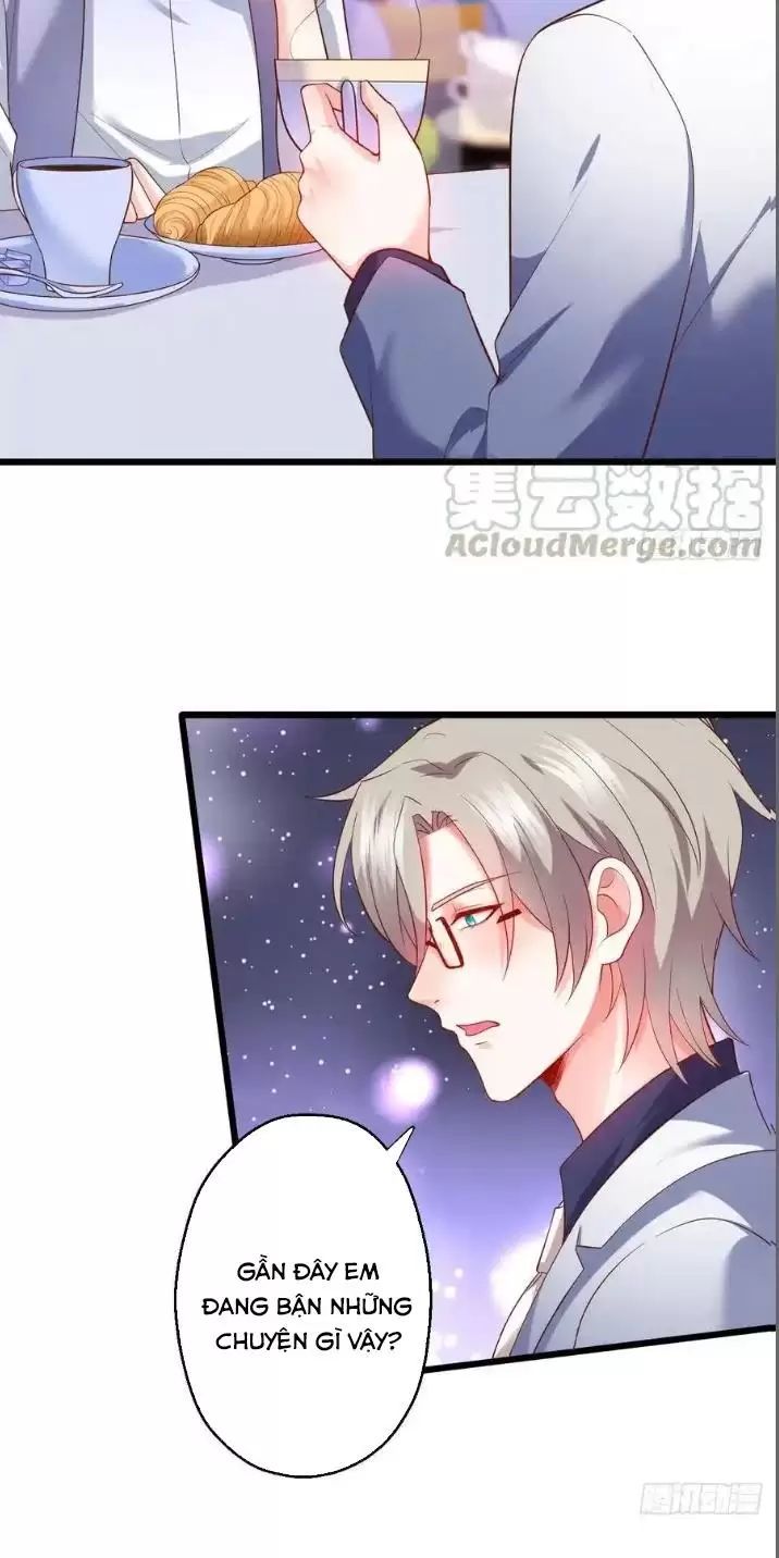 Hắc Đạo Đáng Yêu Chapter 158 - 11