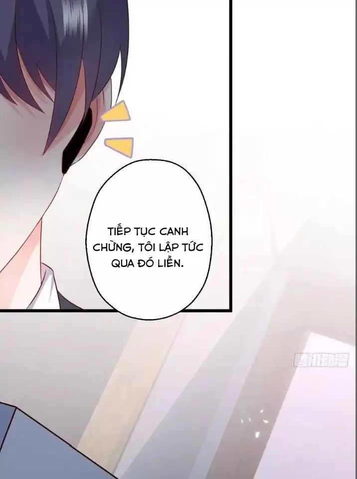 Hắc Đạo Đáng Yêu Chapter 158 - 19