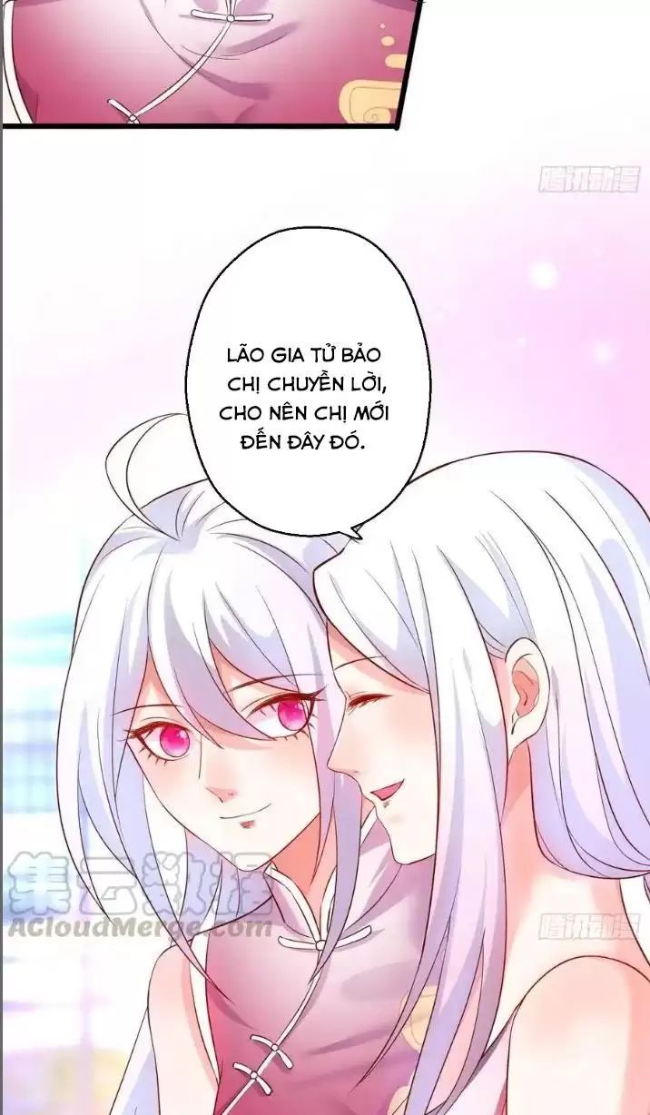 Hắc Đạo Đáng Yêu Chapter 158 - 33