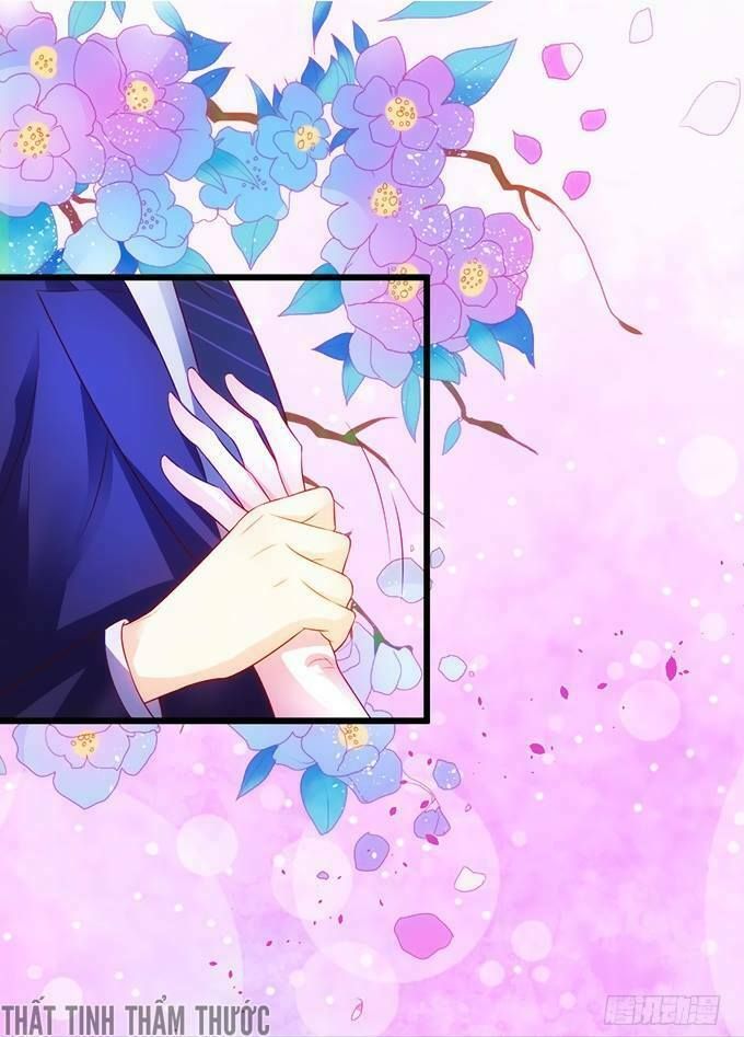 Hắc Đạo Đáng Yêu Chapter 16 - 5