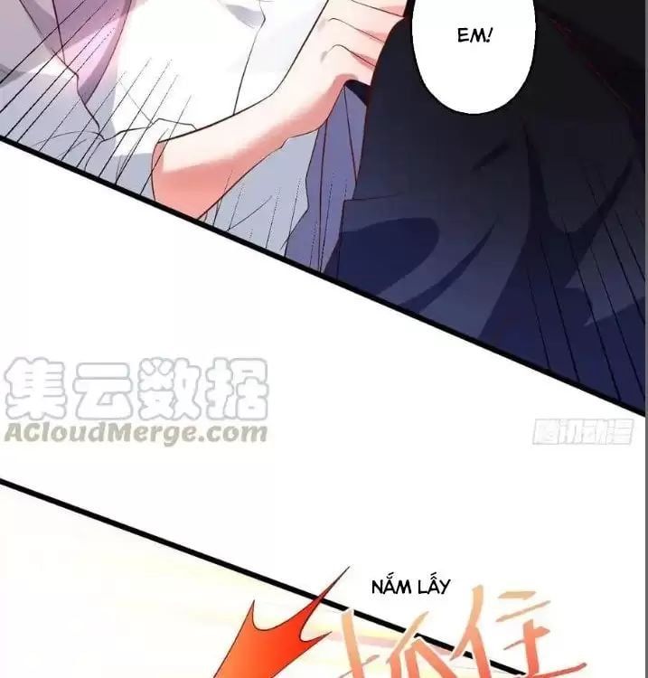 Hắc Đạo Đáng Yêu Chapter 160 - 12