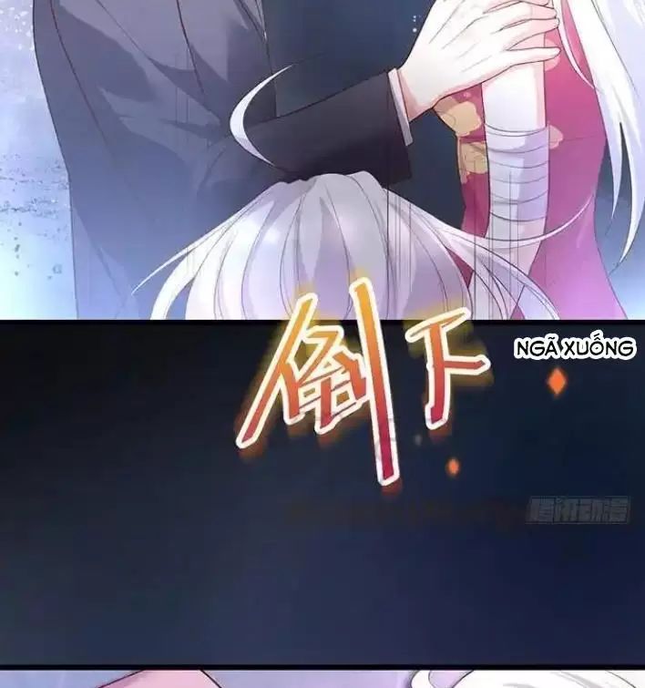 Hắc Đạo Đáng Yêu Chapter 161 - 24