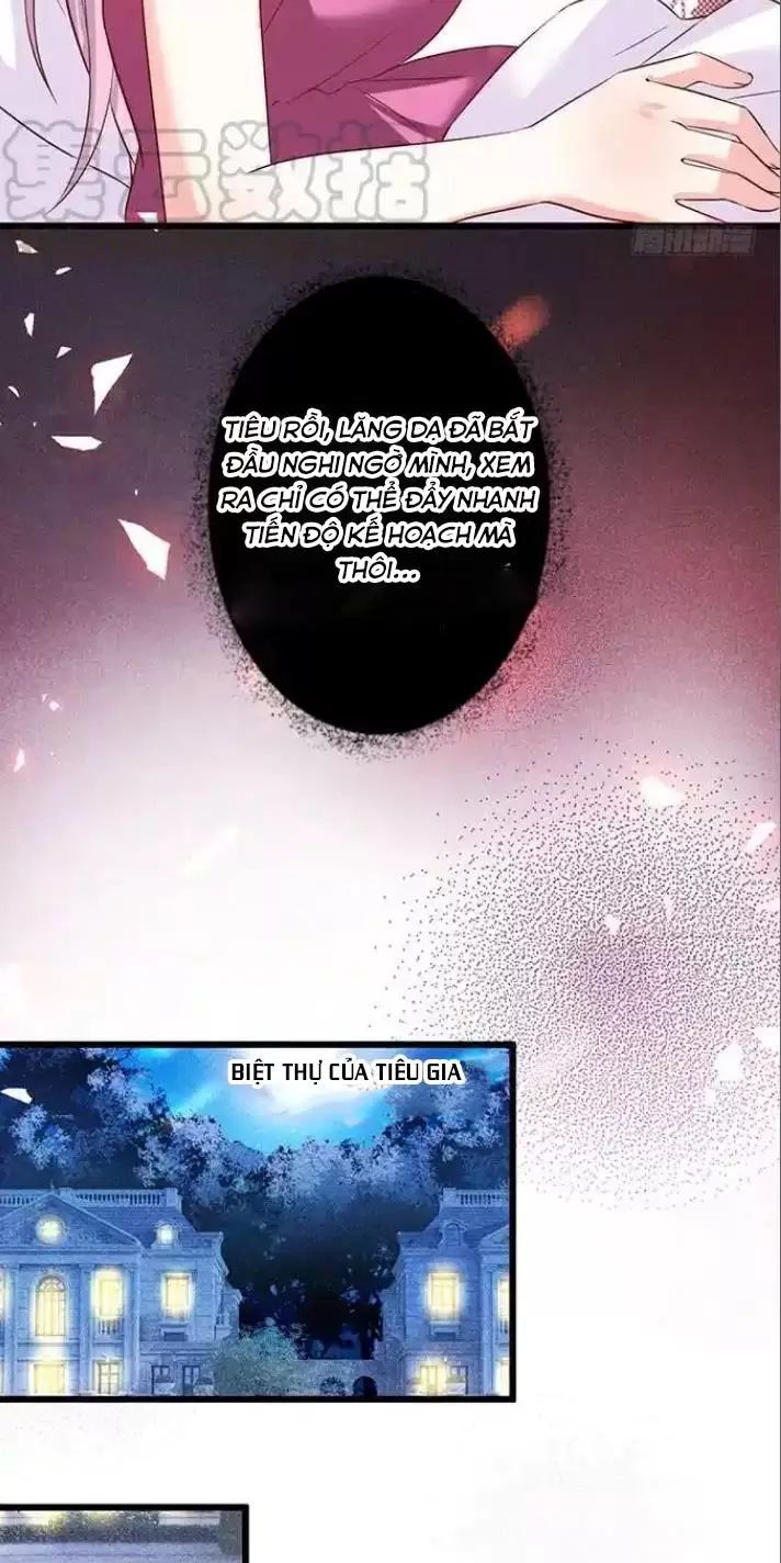 Hắc Đạo Đáng Yêu Chapter 161 - 35