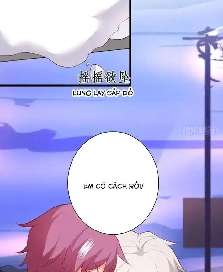 Hắc Đạo Đáng Yêu Chapter 162 - 45