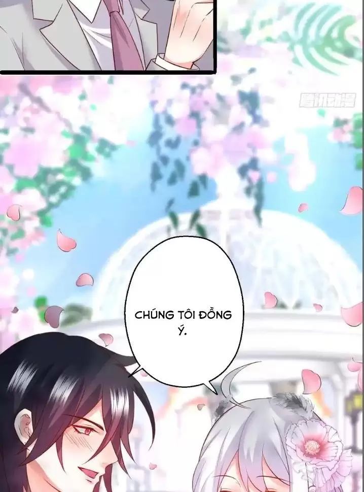 Hắc Đạo Đáng Yêu Chapter 163 - 43