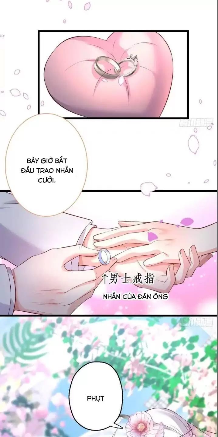 Hắc Đạo Đáng Yêu Chapter 163 - 45