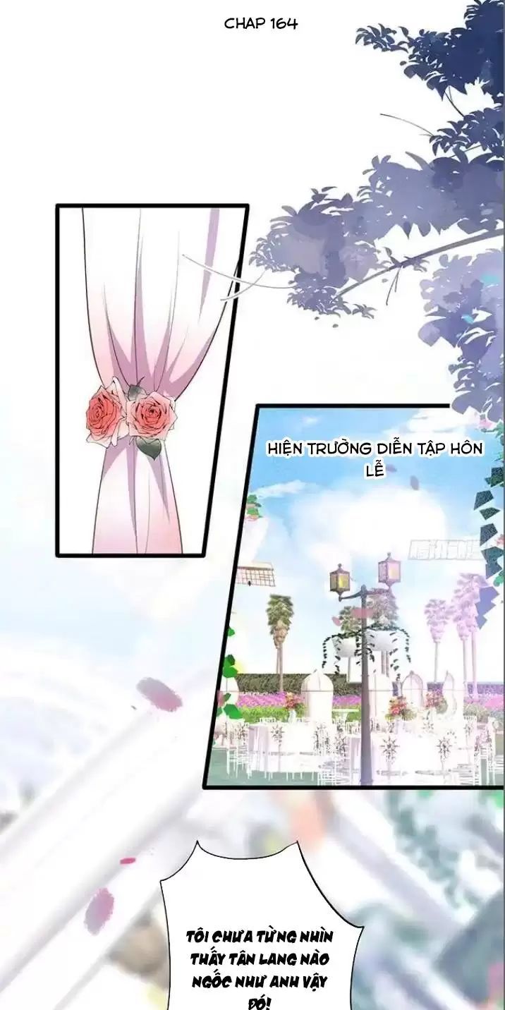 Hắc Đạo Đáng Yêu Chapter 164 - 2