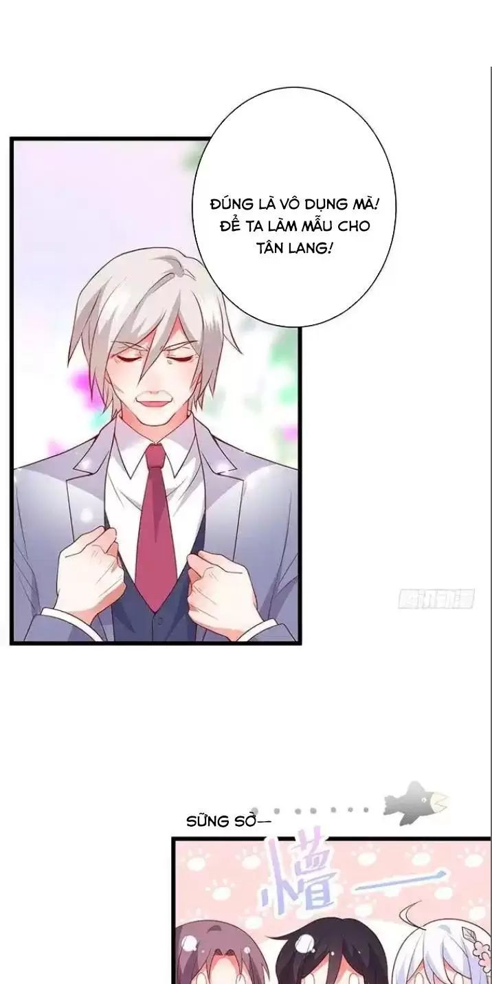 Hắc Đạo Đáng Yêu Chapter 164 - 11