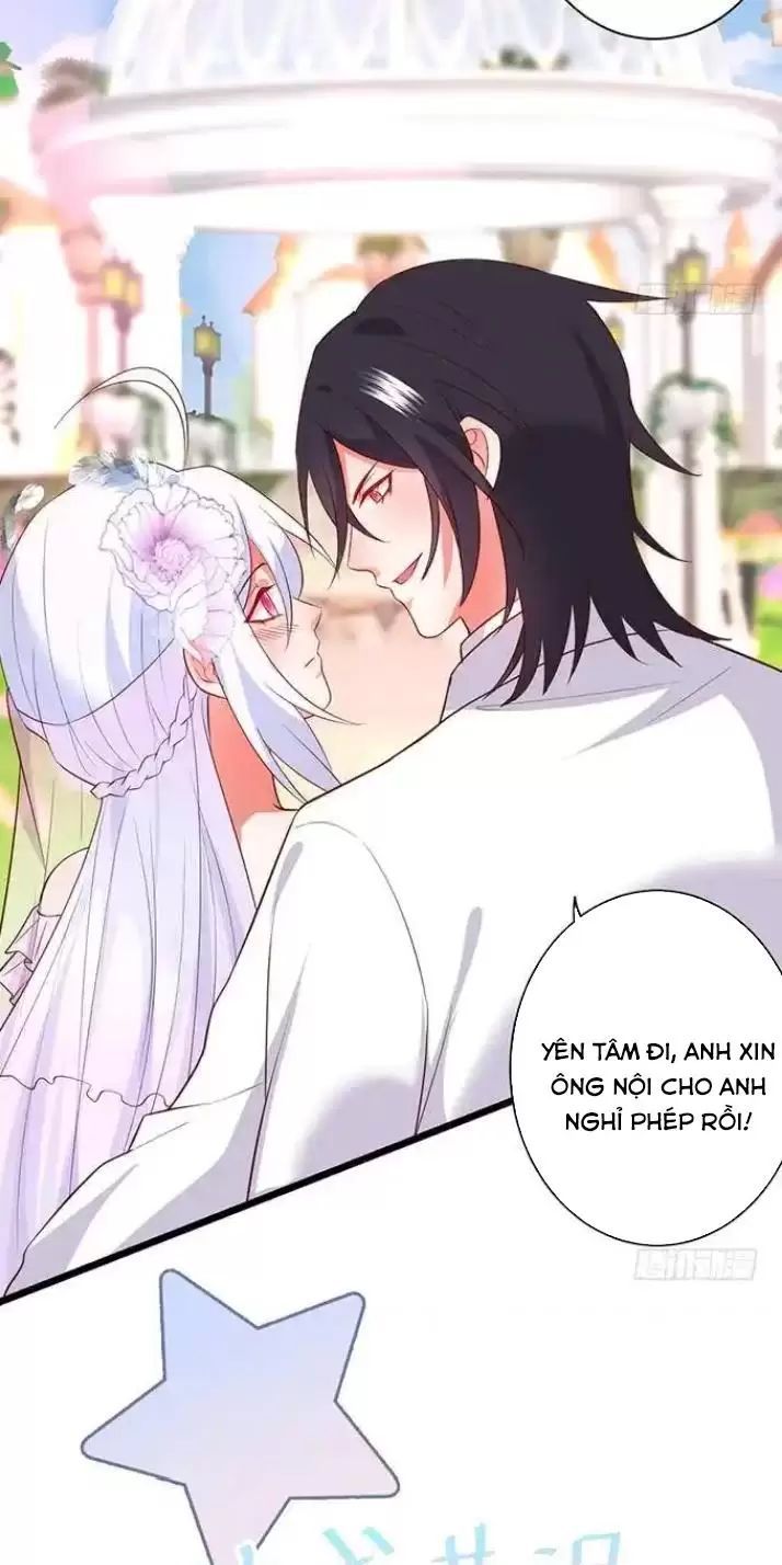 Hắc Đạo Đáng Yêu Chapter 164 - 29