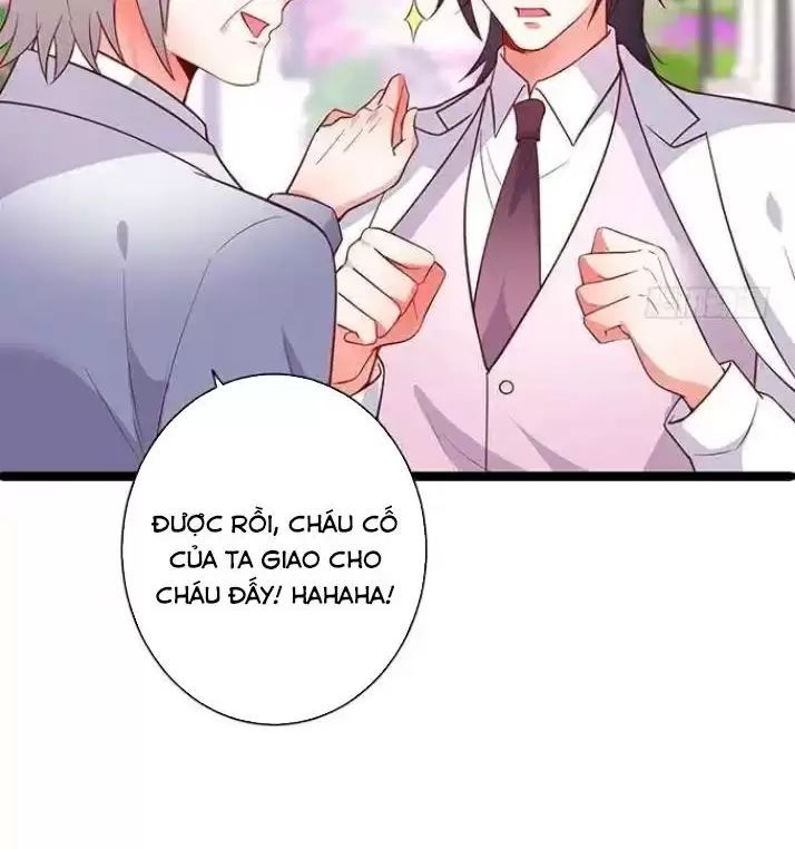 Hắc Đạo Đáng Yêu Chapter 164 - 33