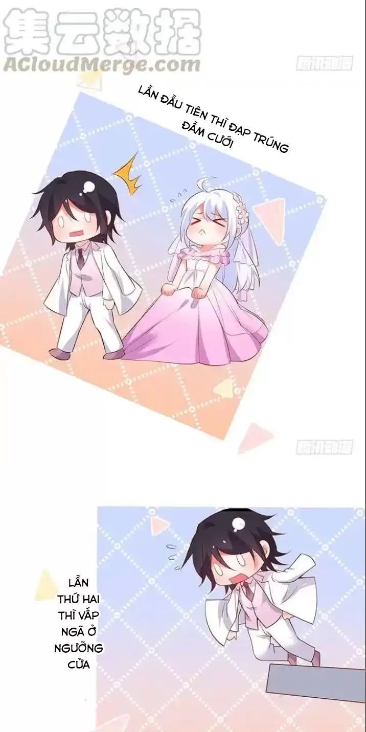 Hắc Đạo Đáng Yêu Chapter 164 - 5