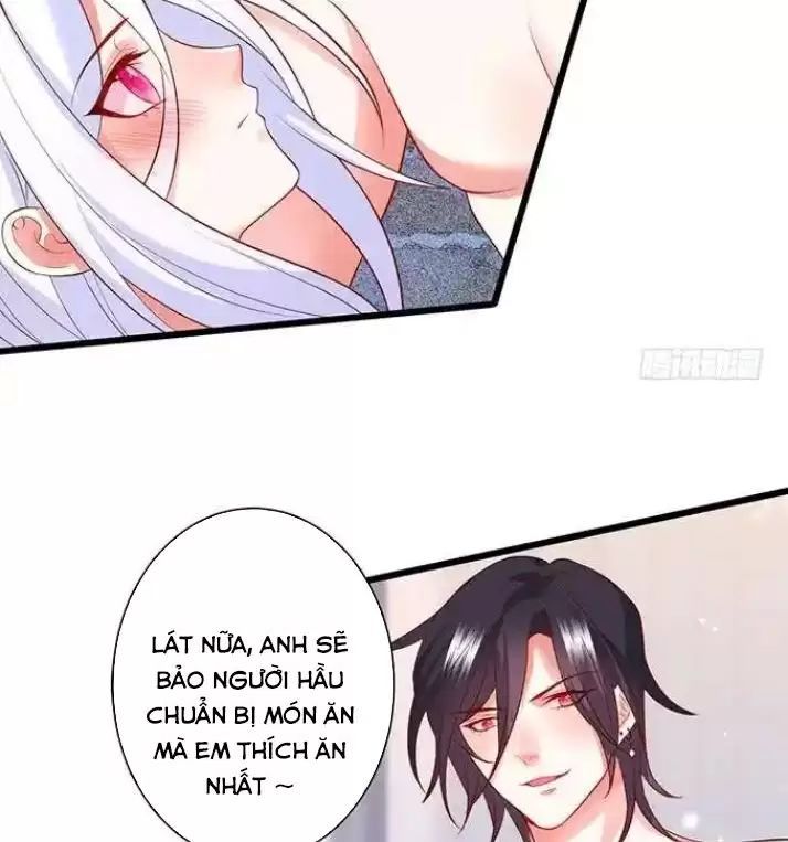 Hắc Đạo Đáng Yêu Chapter 164 - 46