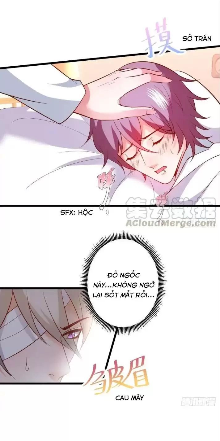 Hắc Đạo Đáng Yêu Chapter 165 - 17