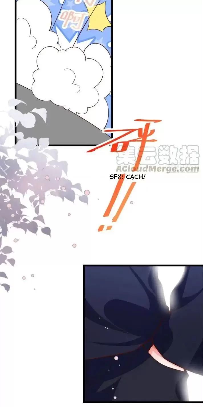 Hắc Đạo Đáng Yêu Chapter 165 - 35