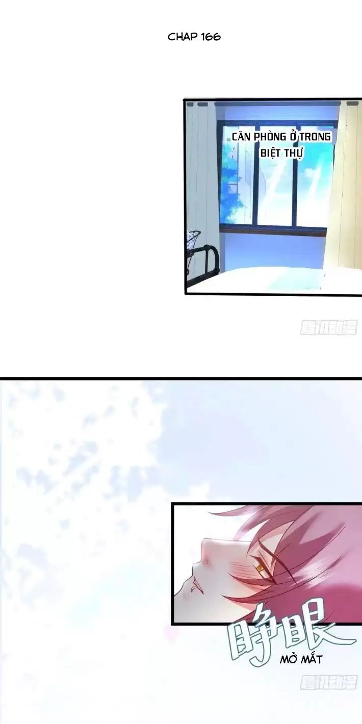 Hắc Đạo Đáng Yêu Chapter 166 - 2
