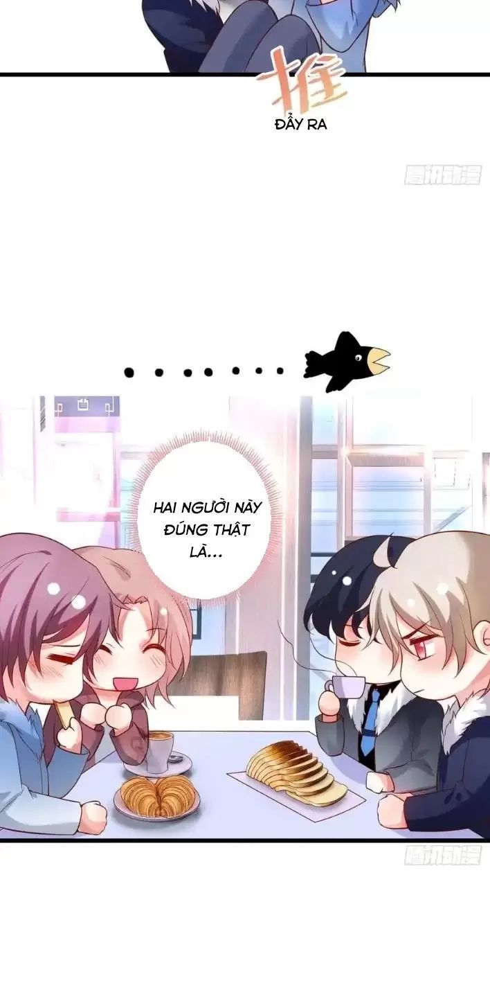 Hắc Đạo Đáng Yêu Chapter 166 - 24