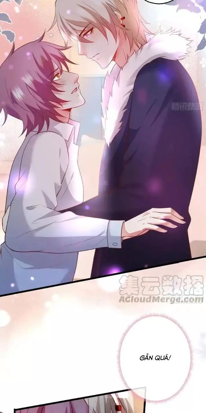 Hắc Đạo Đáng Yêu Chapter 166 - 8