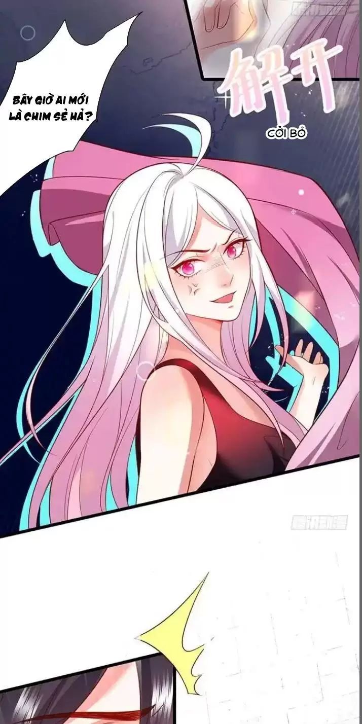 Hắc Đạo Đáng Yêu Chapter 168 - 20