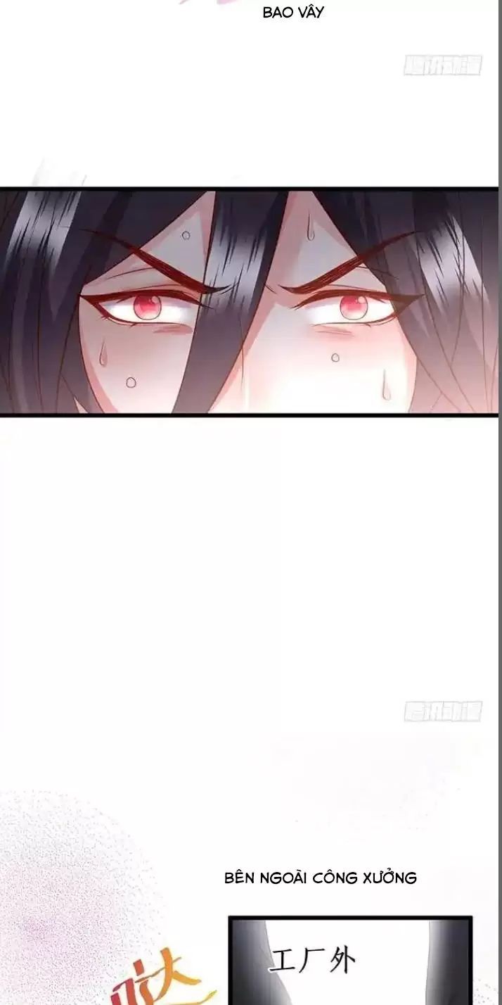Hắc Đạo Đáng Yêu Chapter 168 - 22