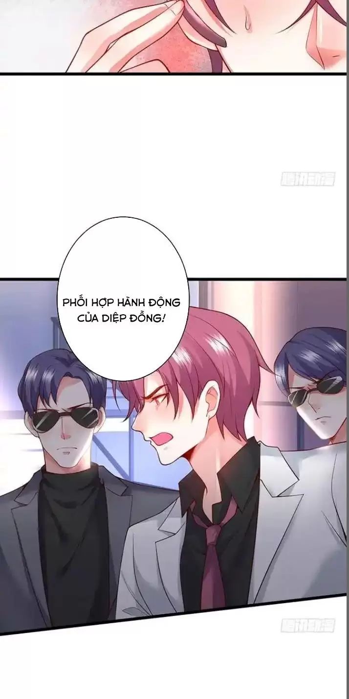 Hắc Đạo Đáng Yêu Chapter 168 - 27