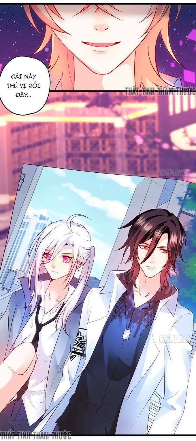 Hắc Đạo Đáng Yêu Chapter 17 - 34