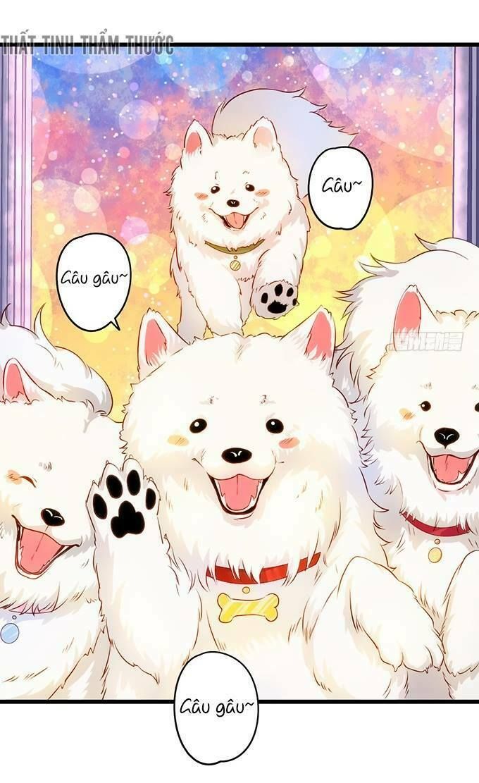 Hắc Đạo Đáng Yêu Chapter 17 - 67